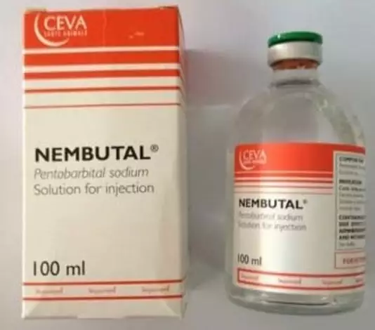 Nembutal Pentobarbital Sodium Liquid 100ml