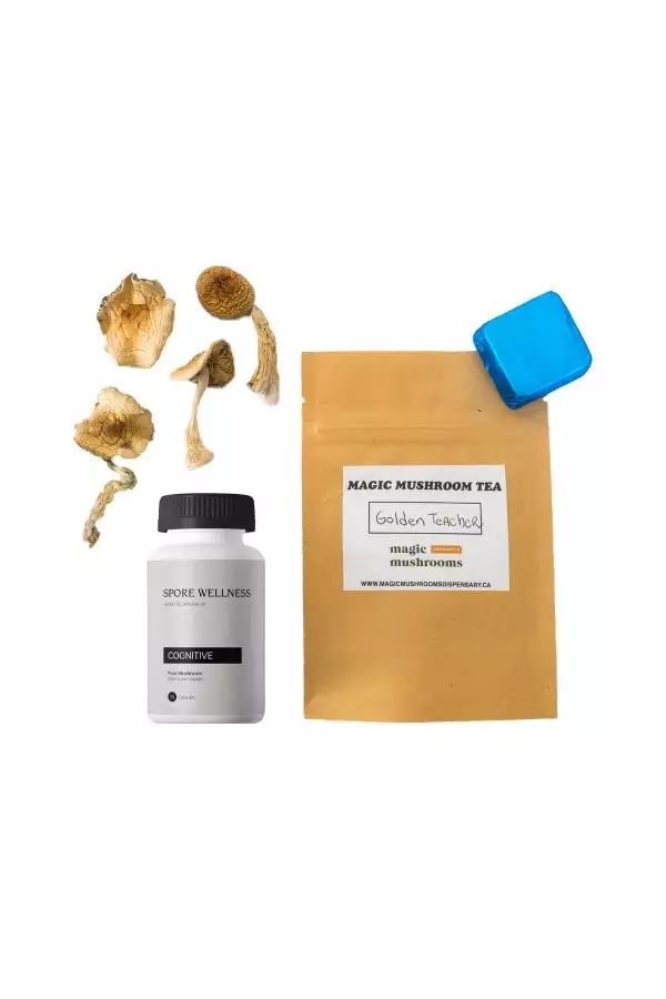 First Timer Magic Mushroom Kit: Psych 101 – An Introduction to Psychedelics