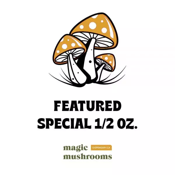 Featured Special ‘Half Oz’ Magic Mushrooms (14 grams)