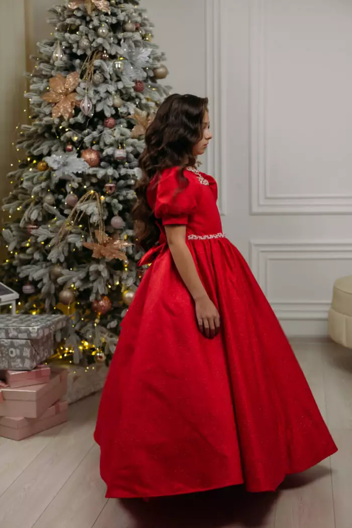 Izabela Red Long Dress