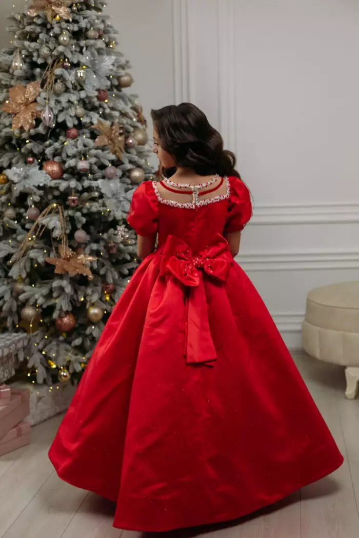 Izabela Red Long Dress