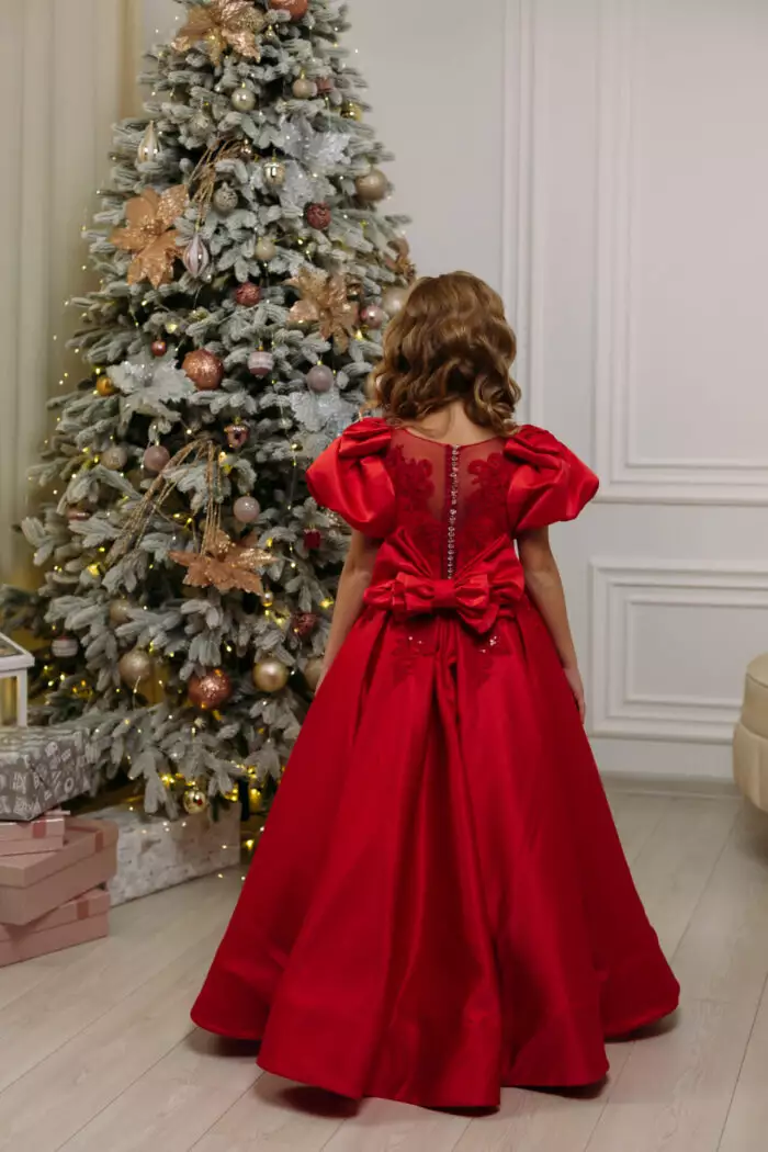 Daniil Red Floor Lenght Dress