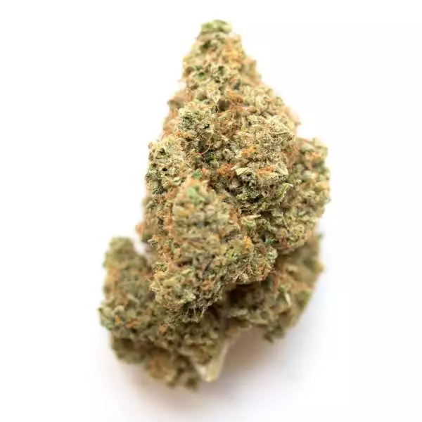 The flavor of the Alien Walker Strain is best described as Earthy, Citrus, and Pine. It leaves consumers happy, euphoric and energetic thus used for stress