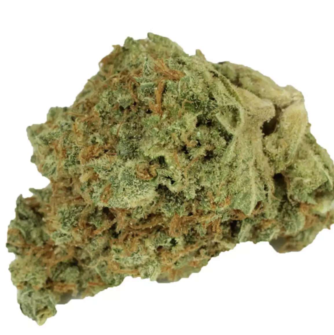 Bruce Banner Strain will provide a relaxing body high accompanied with useful pain killing effects for users. Its used to treat anxiety and stress levels