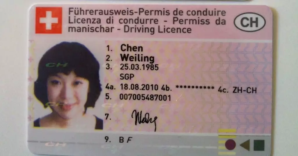 driver's license in the netherlands, get a driver's license in the netherlands, driver's license in the netherlands