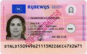 jogosítvány Hollandiában, vezetői engedély Hollandiában,