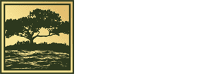 Torrey Pacific Law Logo