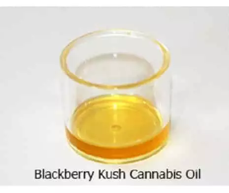 Buy Blackberry Kush Cannabis Oil