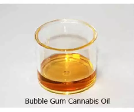 Buy Bubble Gum Cannabis Oil