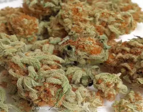 C4 cannabis strain