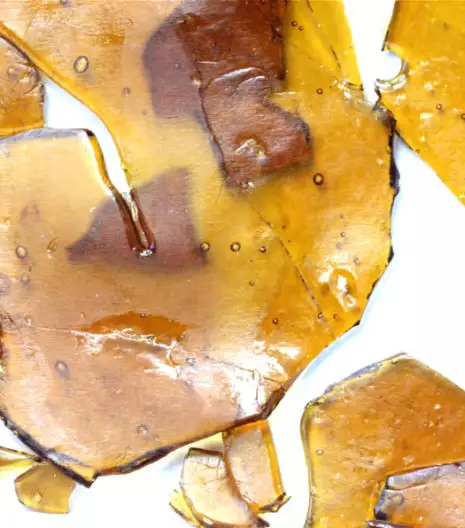Buy Girl Scout Cookies Shatter