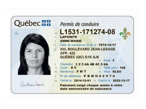 Buy Fake Canadian driver's licence online