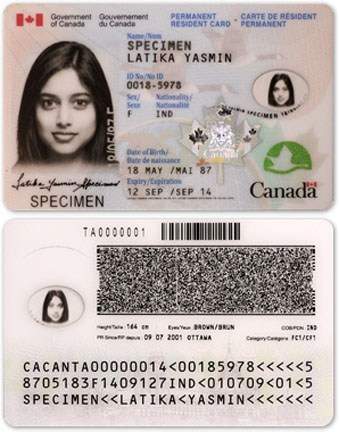 Buy fake Canadian ID card online