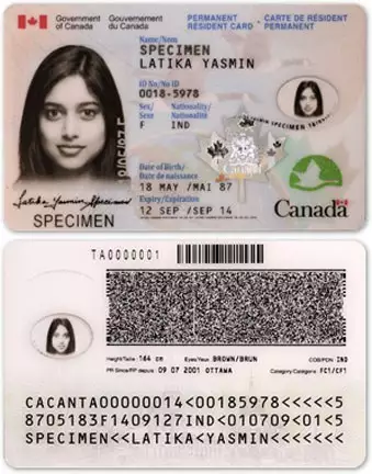 Buy fake Canadian ID card online