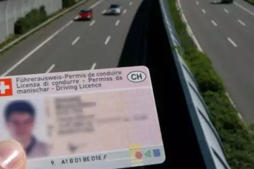 Buy fake Switzerland Drivers Licence online