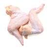 Best Brazil Chicken Brands, buy Chicken Wings, Buy Chicken Wings Bulk, Halal Whole Chicken Wings For Sale Bulk, Buy Chicken Wings Wholesale, Frozen POULTRY WINGS, Wholesale frozen Chicken wings, High Quality Chicken Wings with Competitive Price, Full Container of Frozen Chicken Wings from reputable supplier, Buy Chicken Wings Wholesale, Who Has Chicken Wings on Sale This Week, Buy Chicken Wings UK, Bulk chicken wings suppliers near me, Chicken Wings For Sale Bulk, Best Bulk Frozen Chicken Wings, wholesale frozen chicken wings, Frozen Chicken Wings Suppliers, When you buy chicken wings in Bulk
