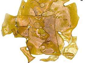 buy cannabis Shatter online