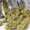 train wreck marijuana strain