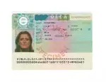 Legal Schengen Visa online