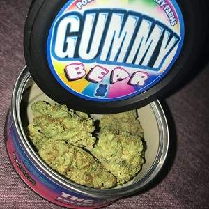 Gummy Bear by BIG SMOKEY FARMS