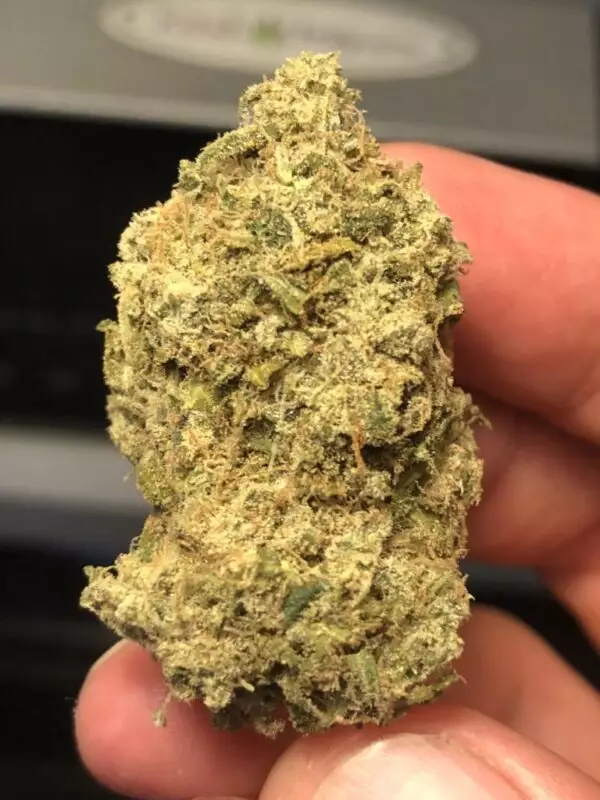 Alpine Star, often labeled as Alpine OG, is an earthy, citrus mix of Tahoe OG and Sensi Star genetics. Zesty lemon flavors lead Alpine Star’s wave of relaxing indica effects. The pain relieving properties of Alpine Star radiate from the head and neck, calming anxieties and muscle tension as the effects descend to the lower extremities.