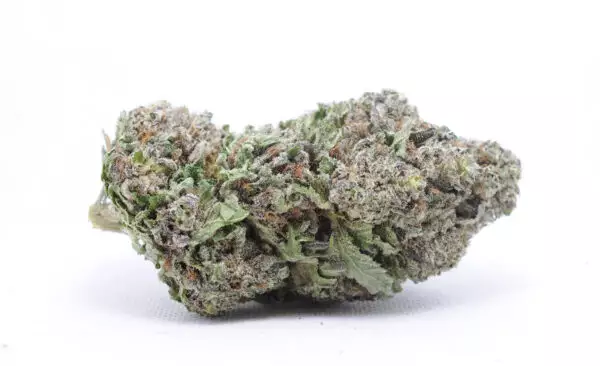 Black Mamba, also known as "Black Mamba #6," is an indica marijuana strain thought to be a cross of Granddaddy Purple and Black Domina. This strain features dark green and dense nugs that have a strong perfume aroma and a distinctly sweet grape taste that is reminiscent of GDP. Many users report an upbeat feeling that mellows into a state of deep relaxation. Touted for its long-lasting effects, this Black Mamba is one to curl up with, not run away from. Black Mamba is believed to be named after the deadly African snake (or perhaps the vengeful bride from the movie Kill Bill), so it’s no surprise that this strain is known for being strong (it might just knock less experienced users into nap time). These plants produce dark green to purple leaves, but it’s the flowers that appear after about 8 weeks that really give a hint to its supposed heritage.
