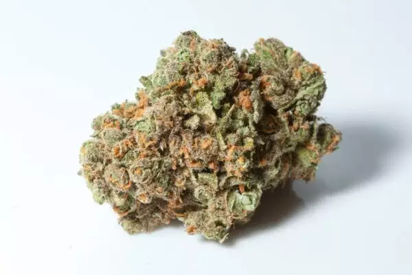 Green Crack is said to be a cross between a 1989 Super Sativa Seed Club, a Skunk #1, and an Afghani landrace. The strain was reportedly named Cush by its original breeder, Cecil C., then renamed Green Crack by Snoop Dogg to refer to what the rapper and cannabis activist perceived as potent, sativa-like effects. The strain won 3rd place for Best Sativa at the Denver High Times Cannabis Cup in 2015.