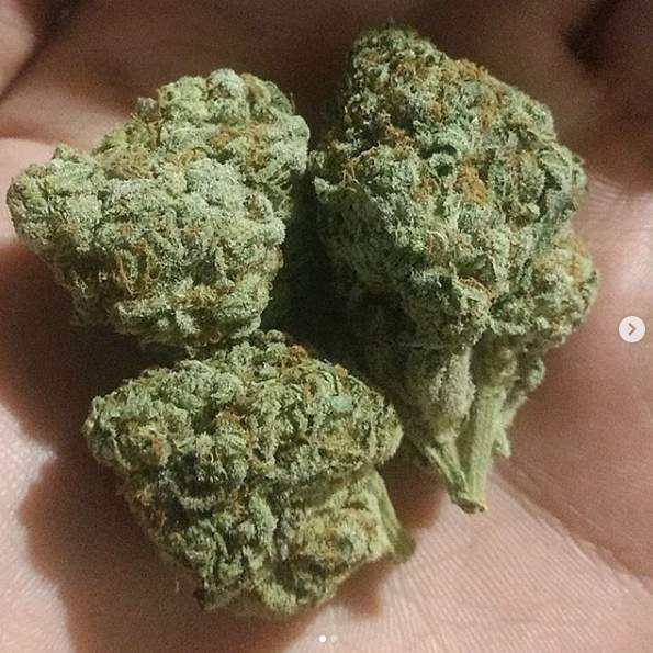 Pineapple Express Weed Strain