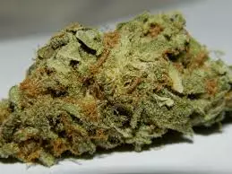 With earthy flavors of lemons and citrus, Amnesia Haze is the perfect sativa strain to start your day with a smile. The uplifting, energetic buzz is one you won’t soon forget. Its genetics have been traced back to the South Asian and Jamaican landrace strains, and this Cannabis Cup winner (1st place 2004, 1st place Sativa Cup 2012) has since been popularized in the coffee shops of Amsterdam