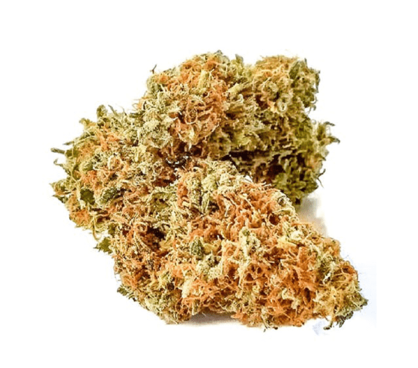 Banana kush is a hybrid marijuana strain made by crossing Ghost OG and Skunk Haze. The result is a strain that tastes and smells like a bushel of fresh bananas. Banana Kush tends to provide a mellow buzz alongside a relaxed sense of euphoria. A great choice when dealing with stress or depression, Banana Kush also helps stimulate your creative juices and can help you remain talkative in social settings