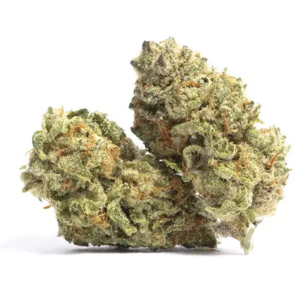 Super Sunk is an indica marijuana strain made by crossing Skunk #1 with Afghani. This strain produces bold, relaxing effects that you can feel through your entire body. Medical marijuana patients choose Super Skunk to help relieve symptoms associated with chronic stress and pain. Super Skunk is ideal for anyone who enjoys an extra skunky aroma.