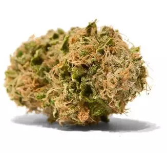 THC Bomb is a potent hybrid marijuana strain. This strain produces energizing and happy effects. THC Bomb tastes like citrus with woody undertones. Growers say this strain comes in large buds that have a covering of bright orange hairs. Flowering time for THC Bomb is 7-9 weeks.