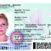 Buy Argentina fake ID Card Online