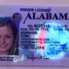 Alabama State Driver License