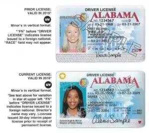 Buy Alabama Driver's License