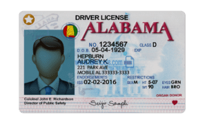 Buy Commercial Driver's License