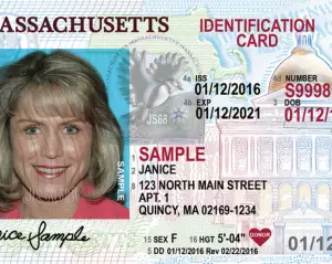 Buy Massachusetts driver's license
