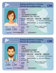 Buy driver licenses in Canada
