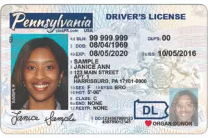 Driver license generator online, free