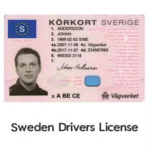 Sweden Drivers License