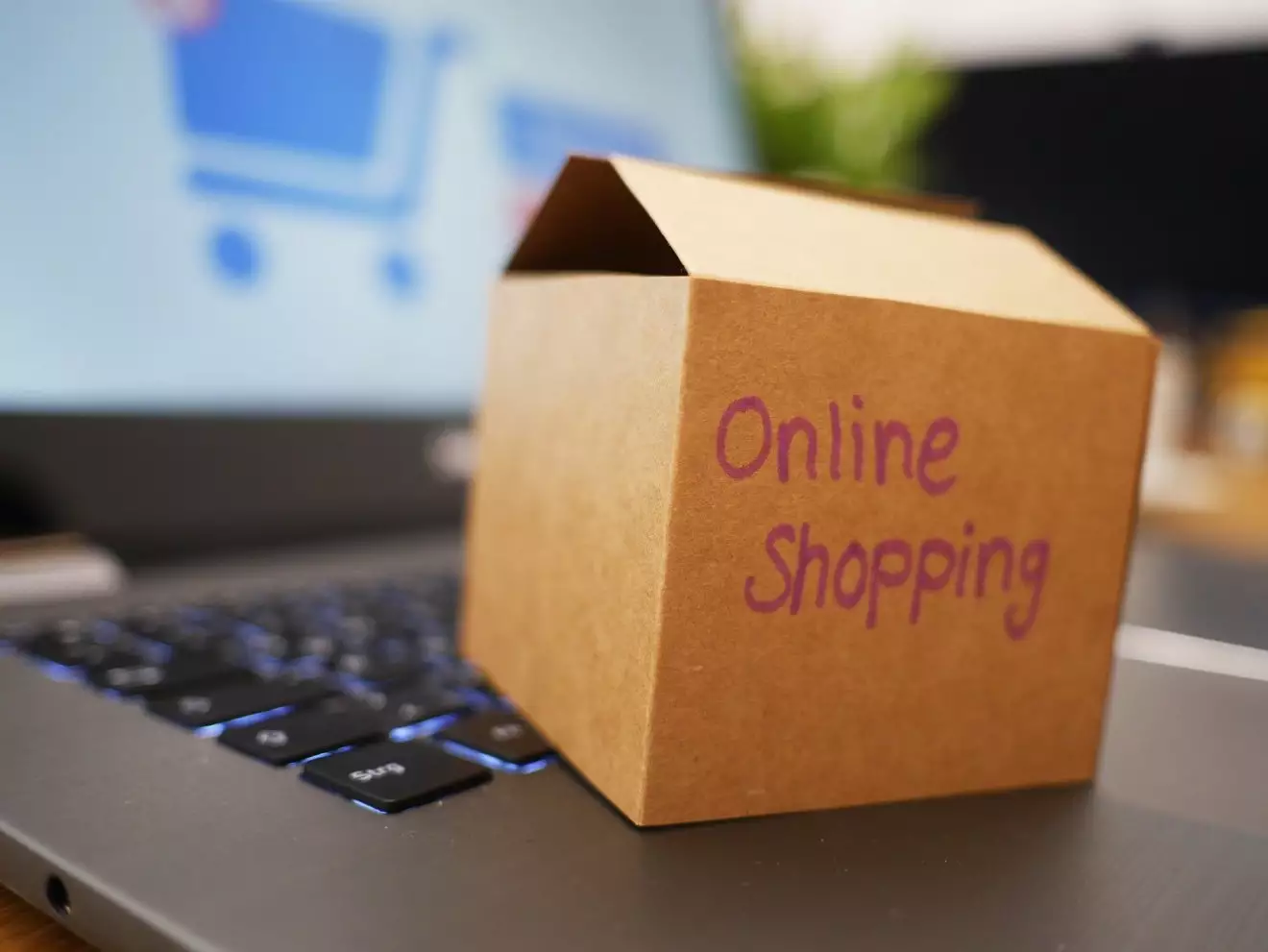 Online Shop 8 Best  Setup Tips For An Existing Business