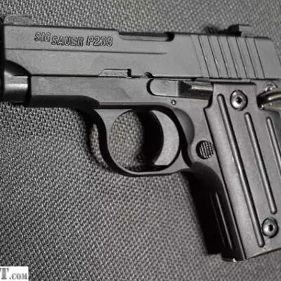 sig-p238-for-sale