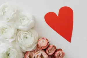 Róża – 7 powodów, dla których ją pokochasz!