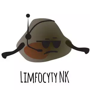 limfocyty NK
