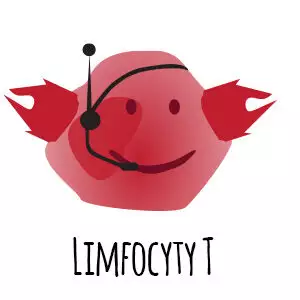 limfocyty T
