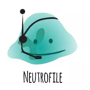 neutrofile - odporność