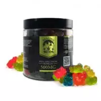 Healing Nation CBD Gummy Bears Full Spectrum – 500mg