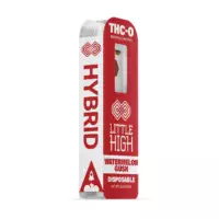 Little High THC-O Hybrid Watermelon Gush Disposable Pen