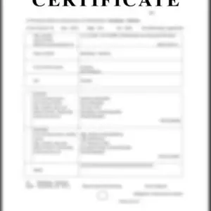Buy Birth Certificate Online . Original The Best Quality