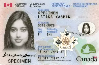 Buy Fake And Real Canadian ID card online. The Best Quality
